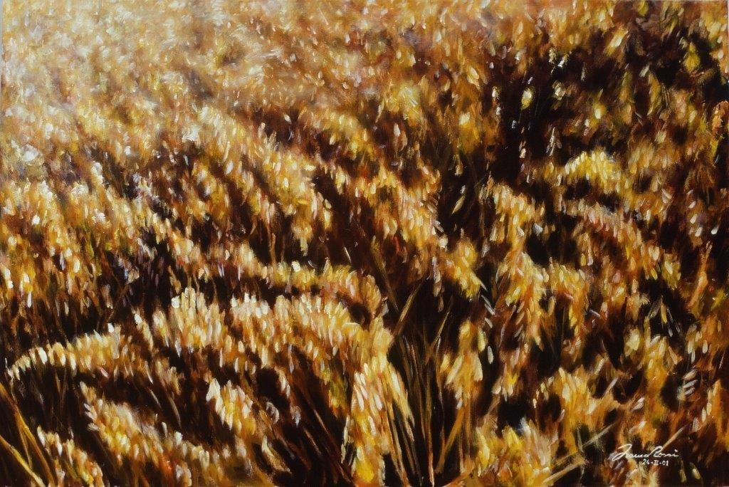Campo d’avena