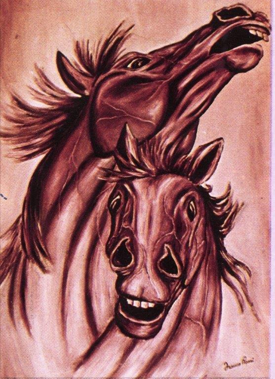 Cavalli rosa
