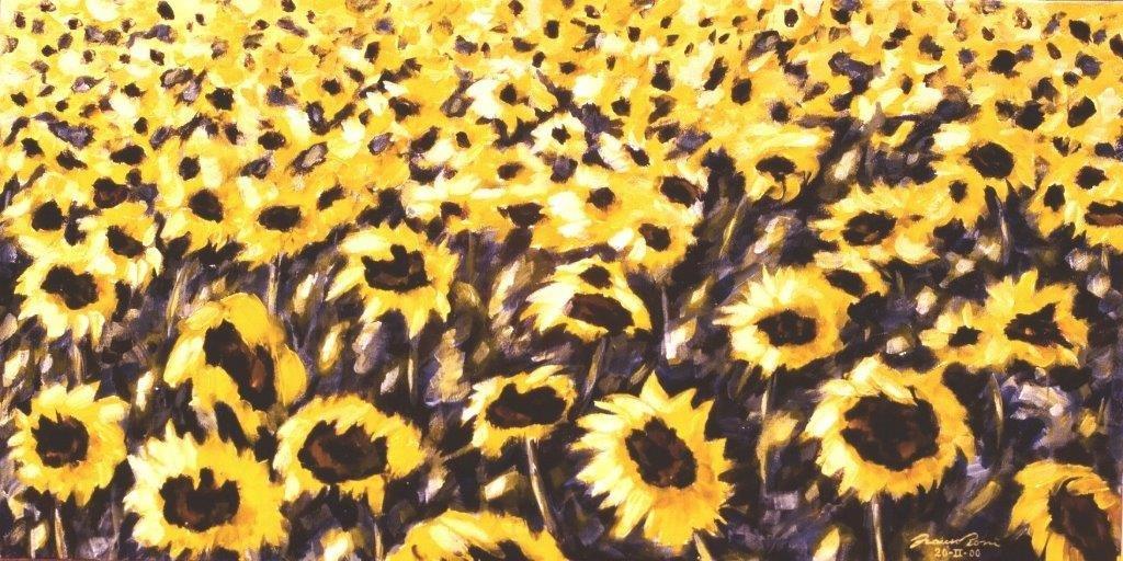 Girasoli impressione mattina