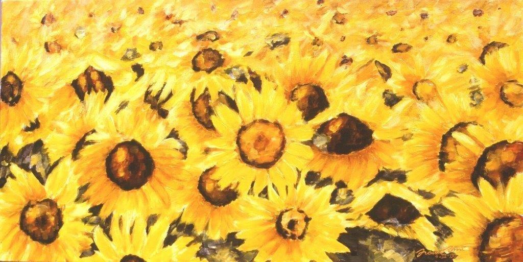 Girasoli mezzogiorno