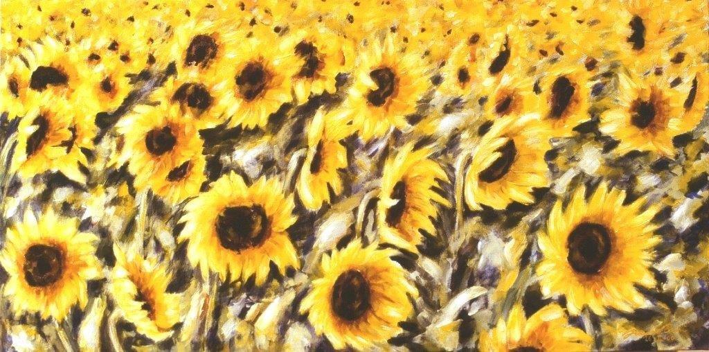 Girasoli sole pieno