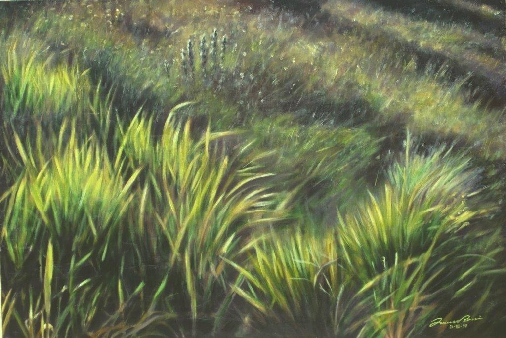 Lo stare nudi in mezzo a un campo e sentirsi addosso il vento
