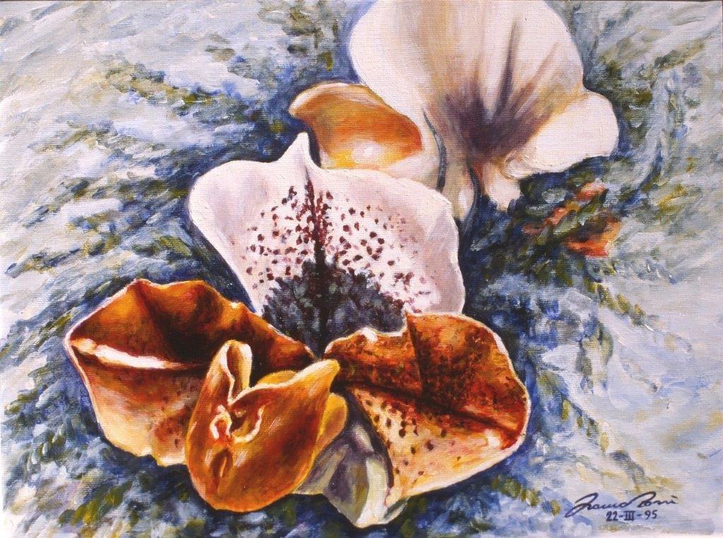 Orchidee di S. Valentino 2