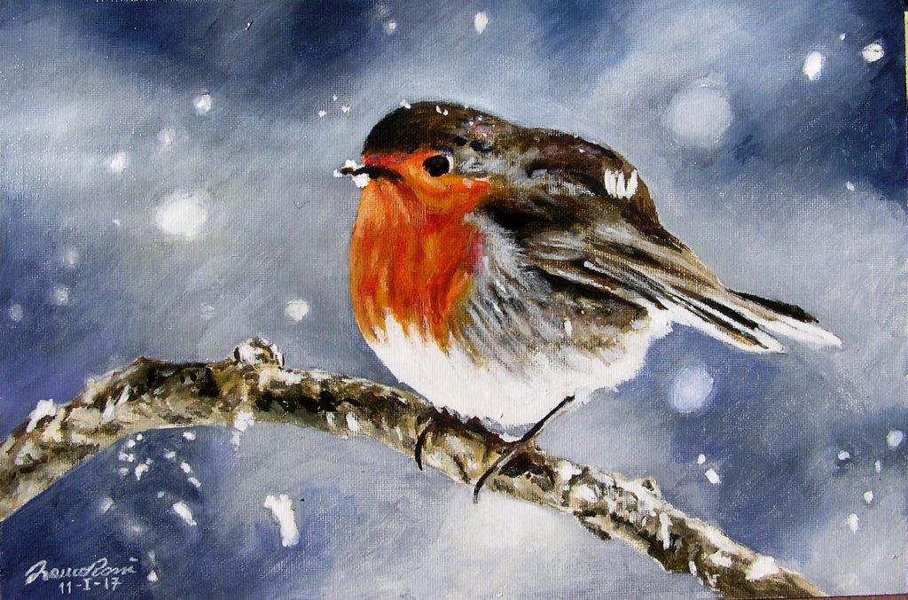 Pettirosso nella neve