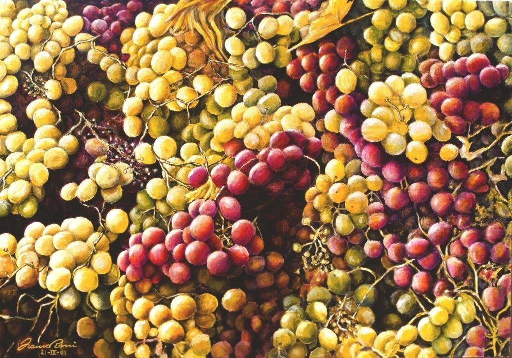 Vendemmia
