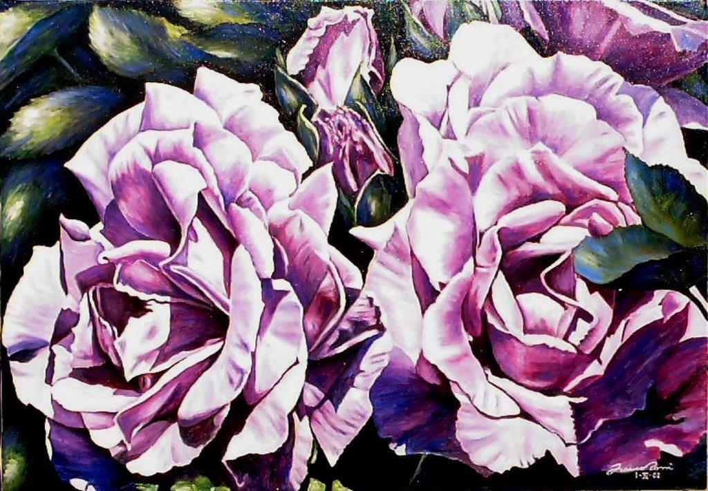 Lavander Roses