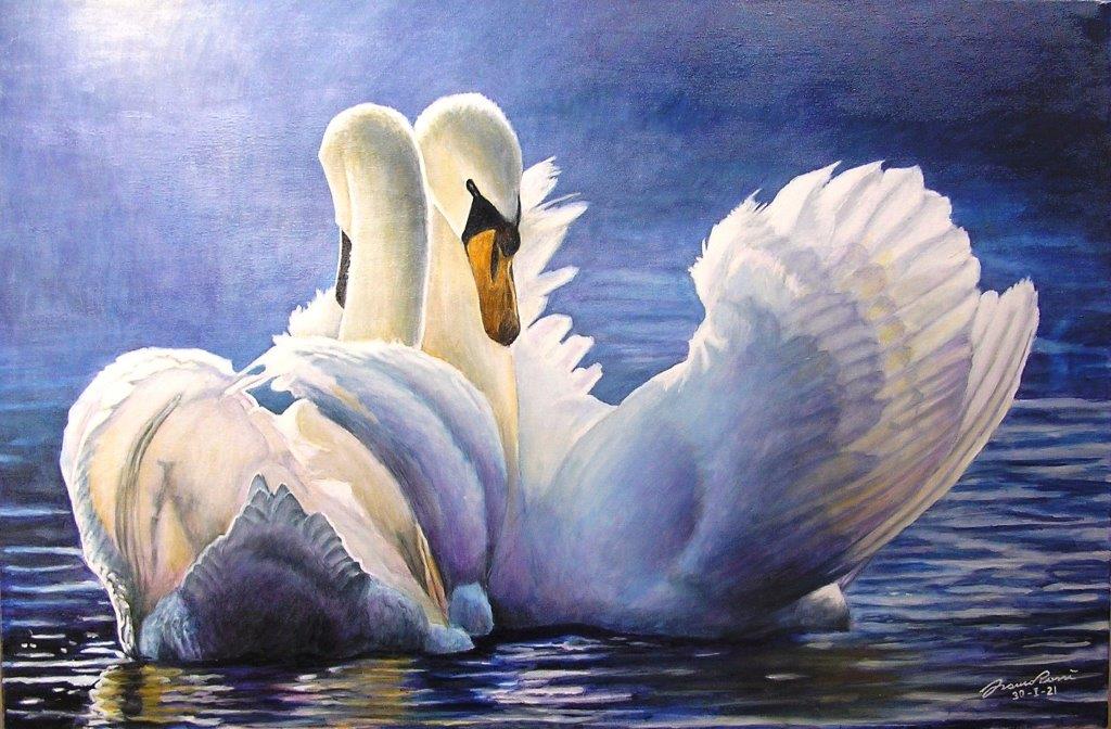  "Swans' song"