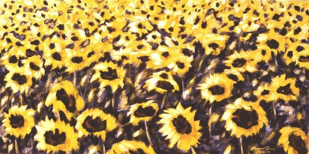 Girasoli impressione mattina