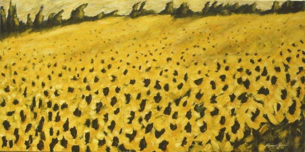 Girasoli luce riflessa