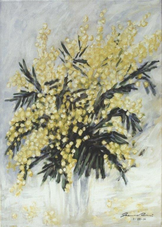 Mimosa