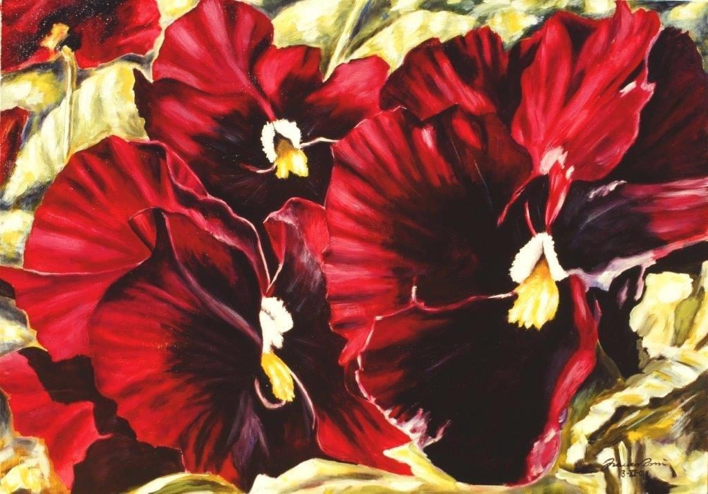 Pansè di sangue 