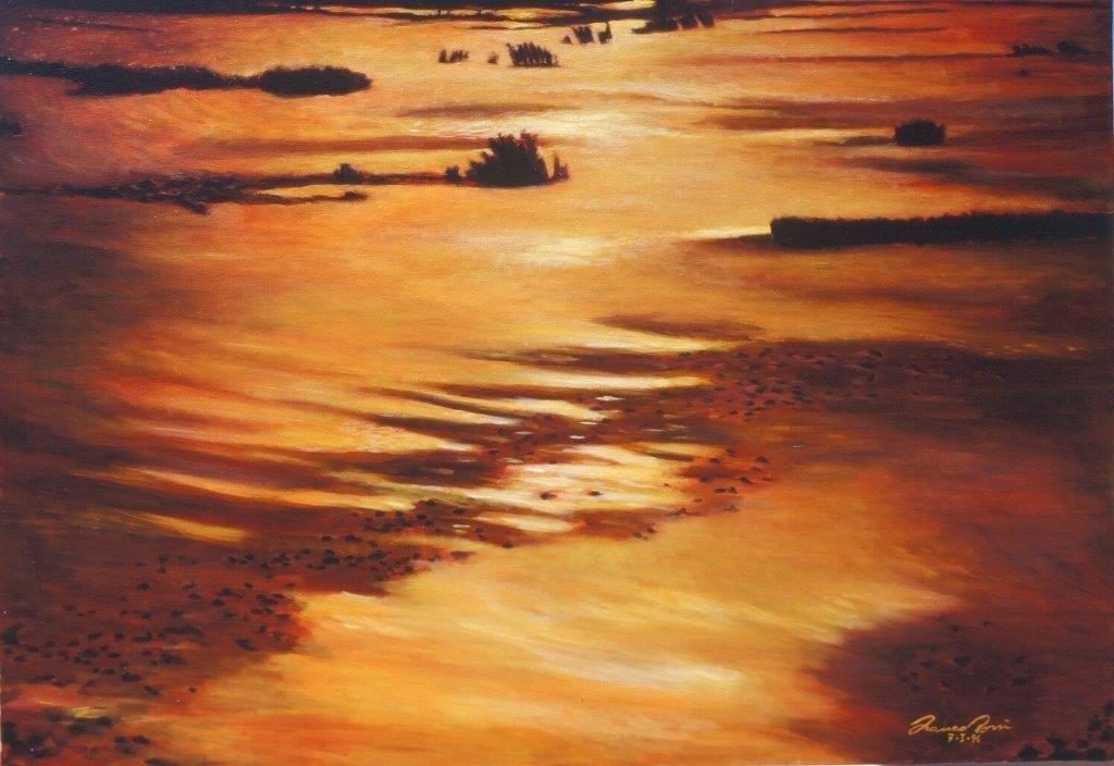 Sulle ali della Fenice