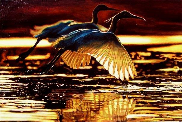 Volo al tramonto