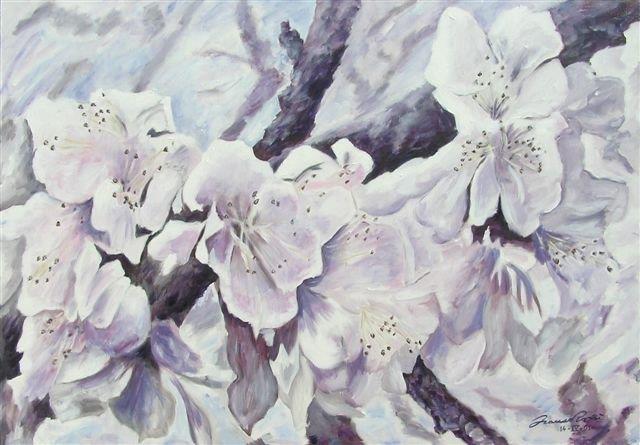 ..perché i ciliegi tornassero in fiore