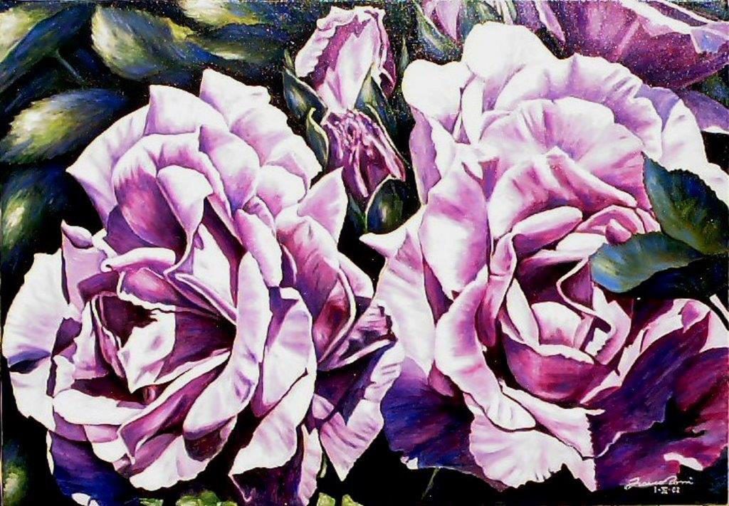 Lavander Roses