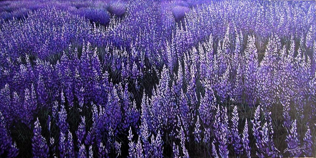 LAVANDA
