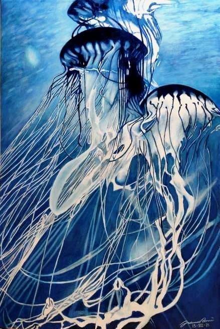 "MEDUSE"