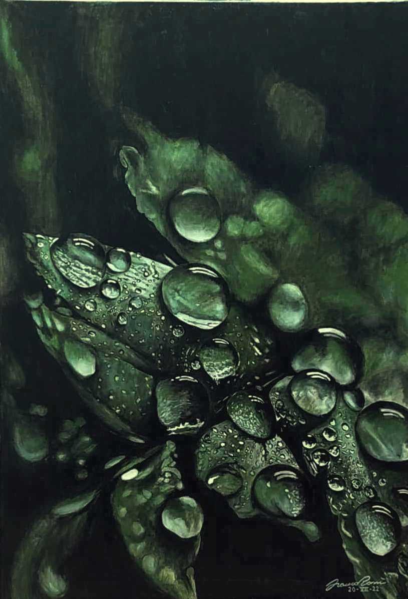 "...MA ORA VERRANNO LE STELLE"